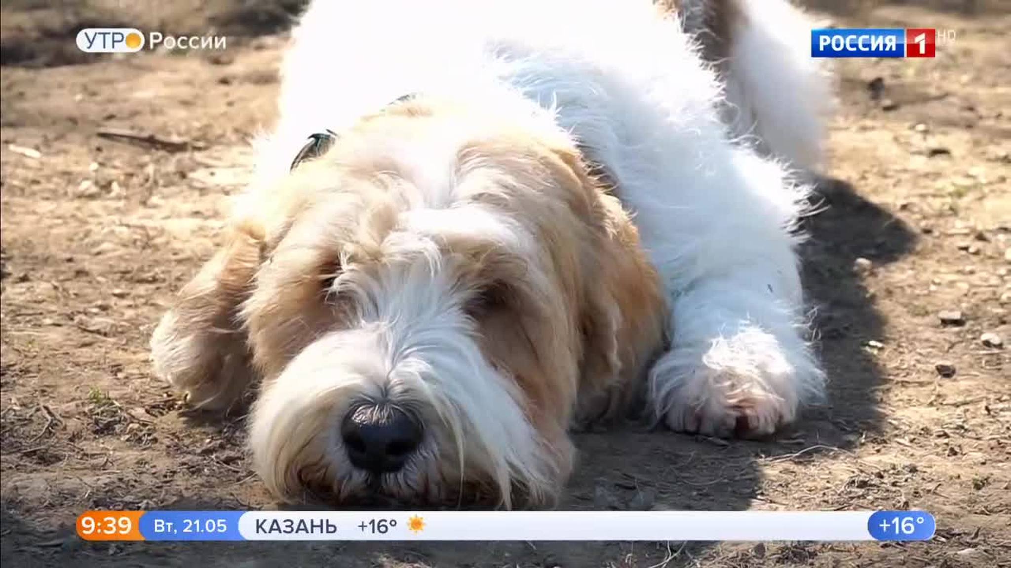 Эфир от 21.05.2019 (09:25)