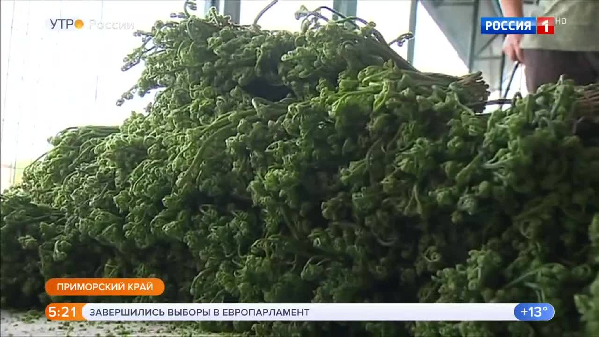 Эфир от 27.05.2019 (05:00)