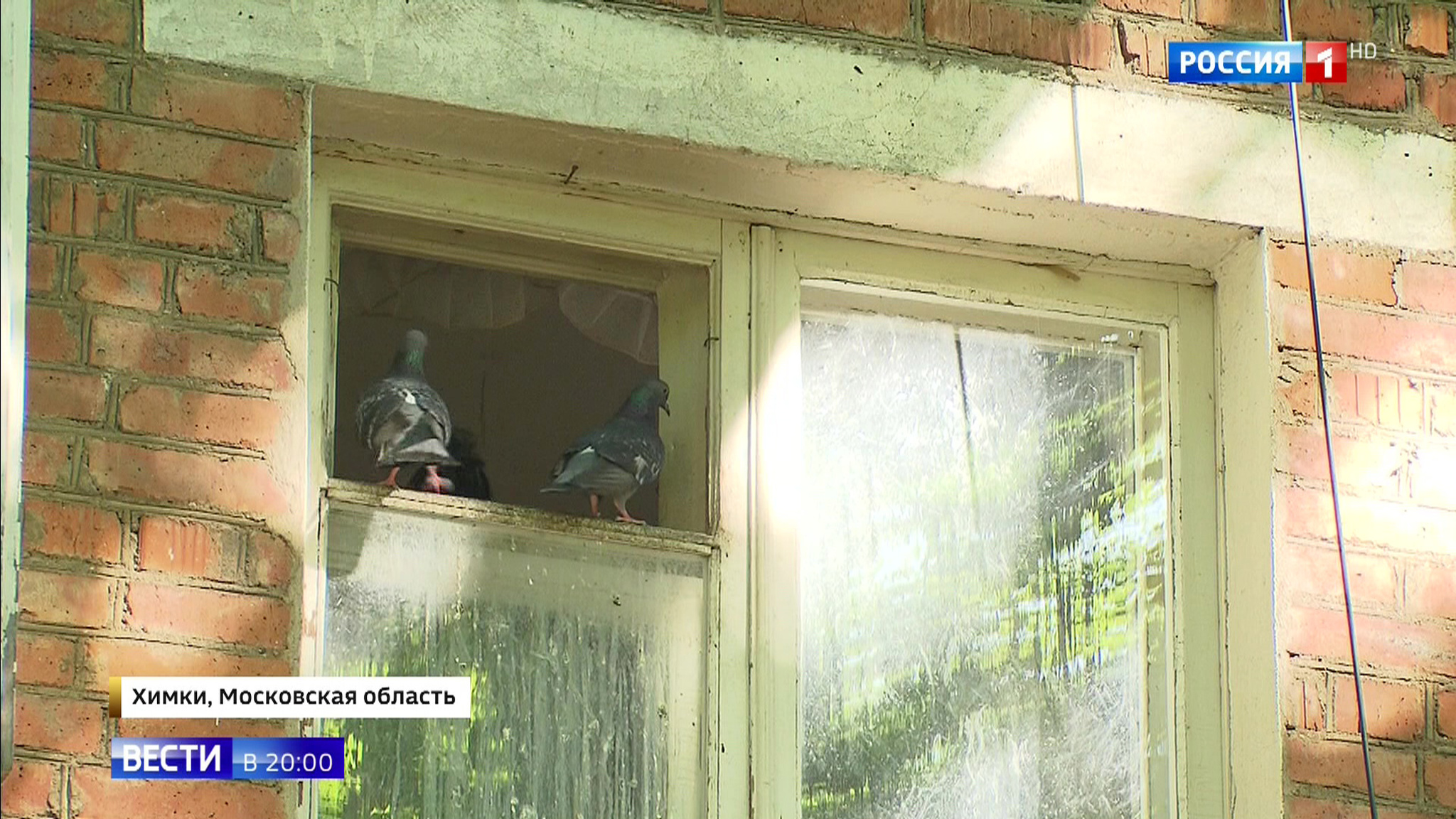 Эфир от 04.06.2019