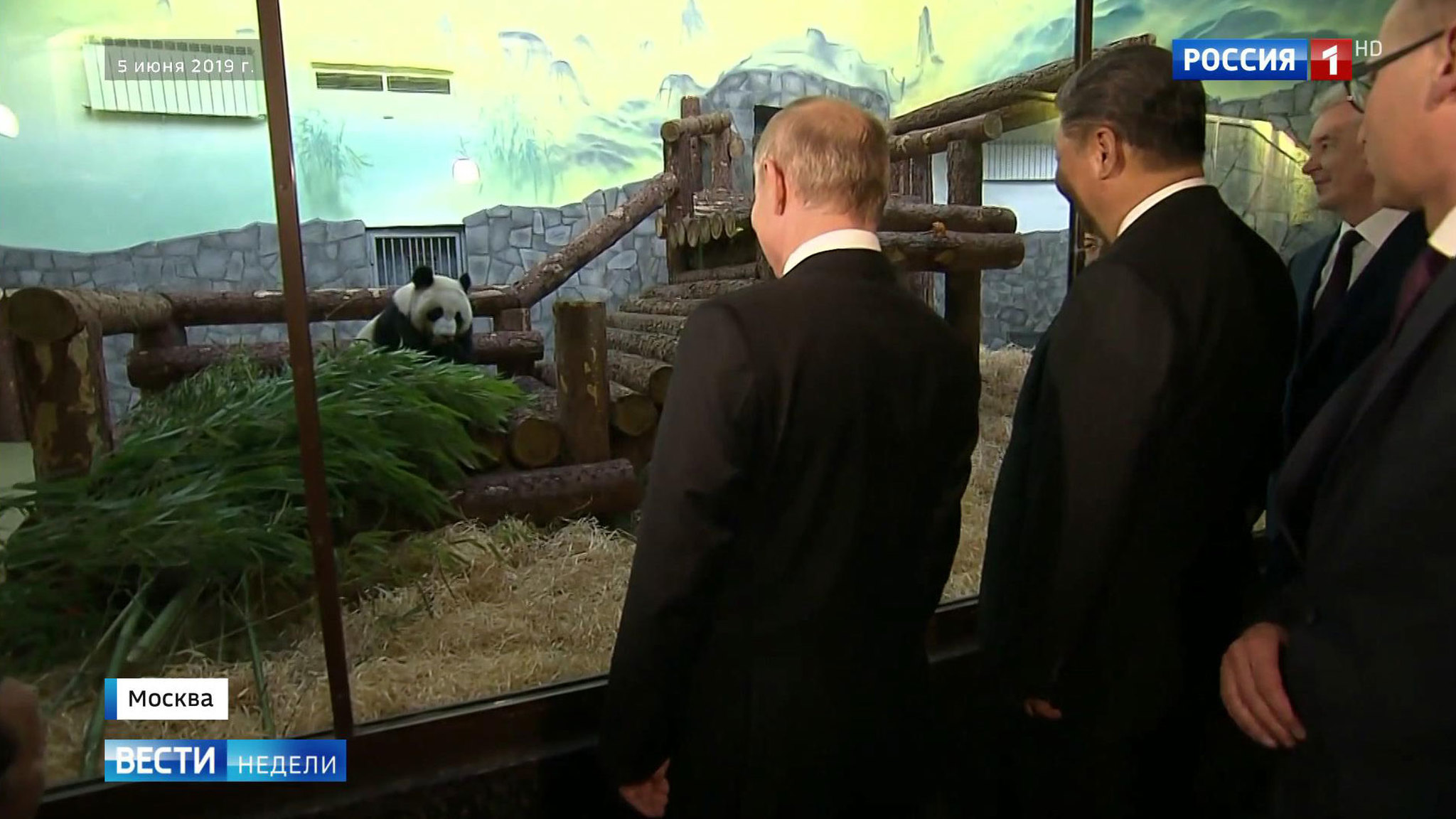 Путин принял Си Цзиньпина по-семейному