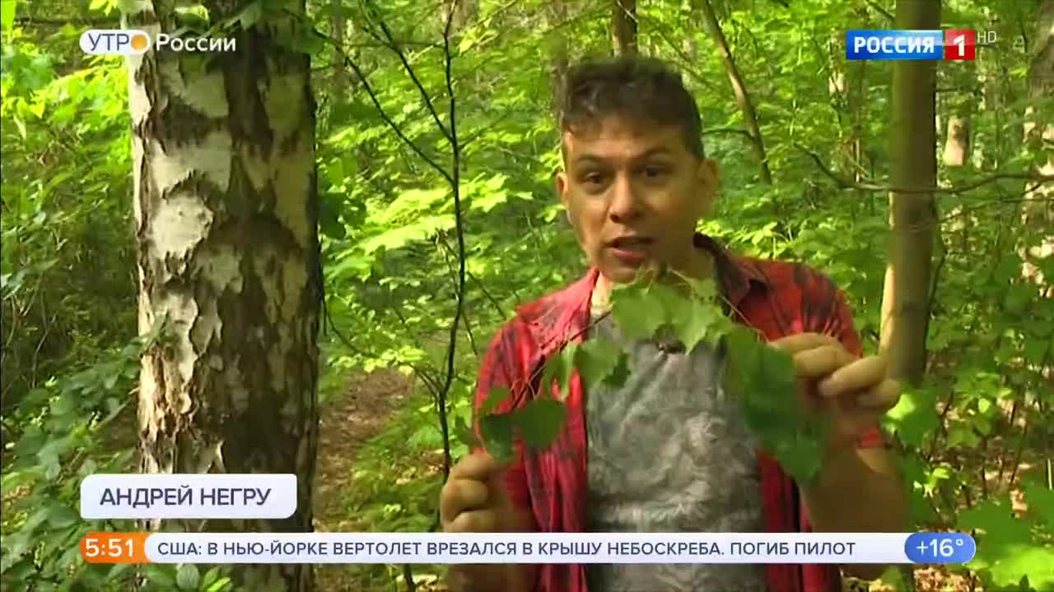Эфир от 11.06.2019 (05:00)