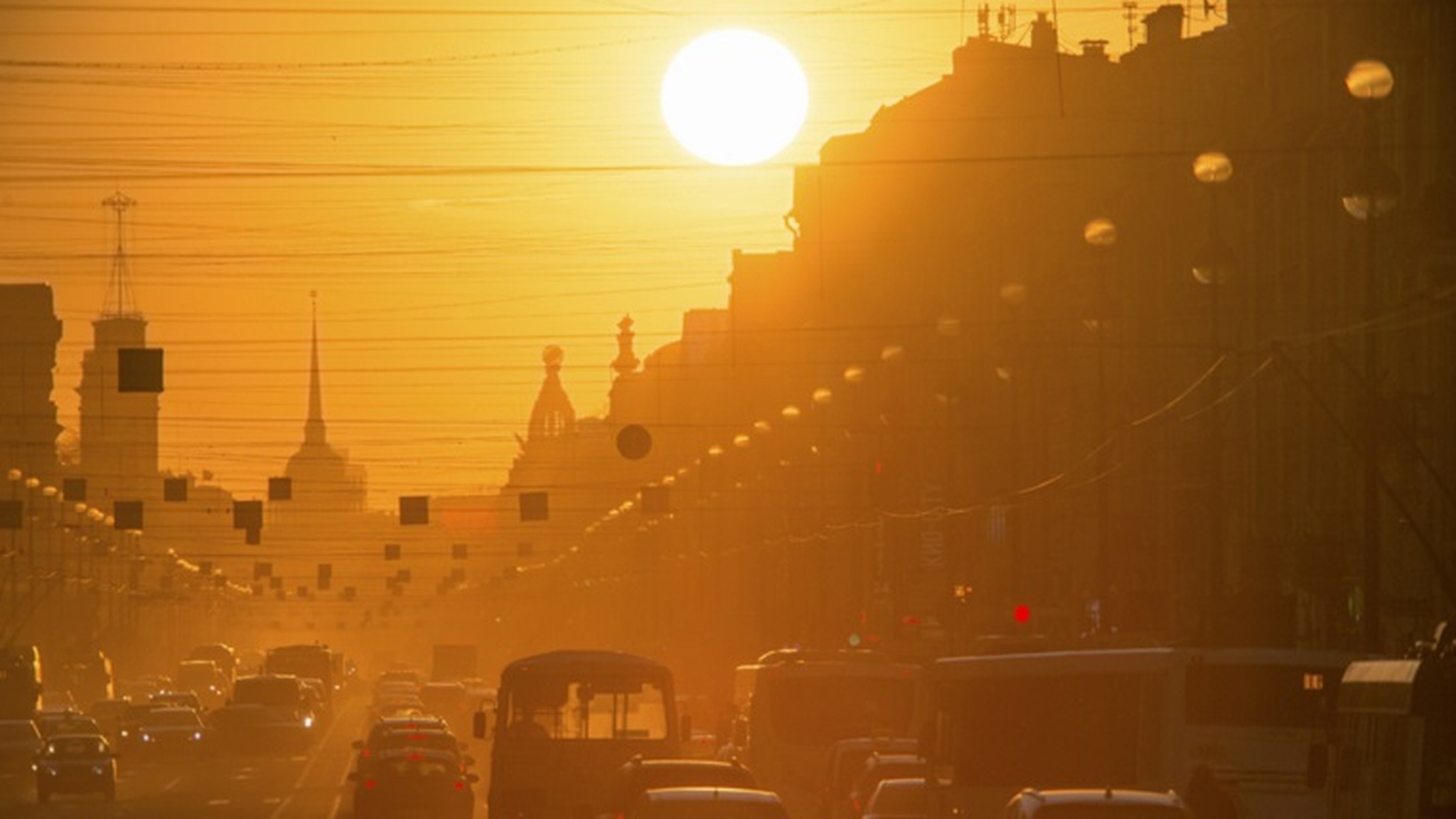 Мозг и жара