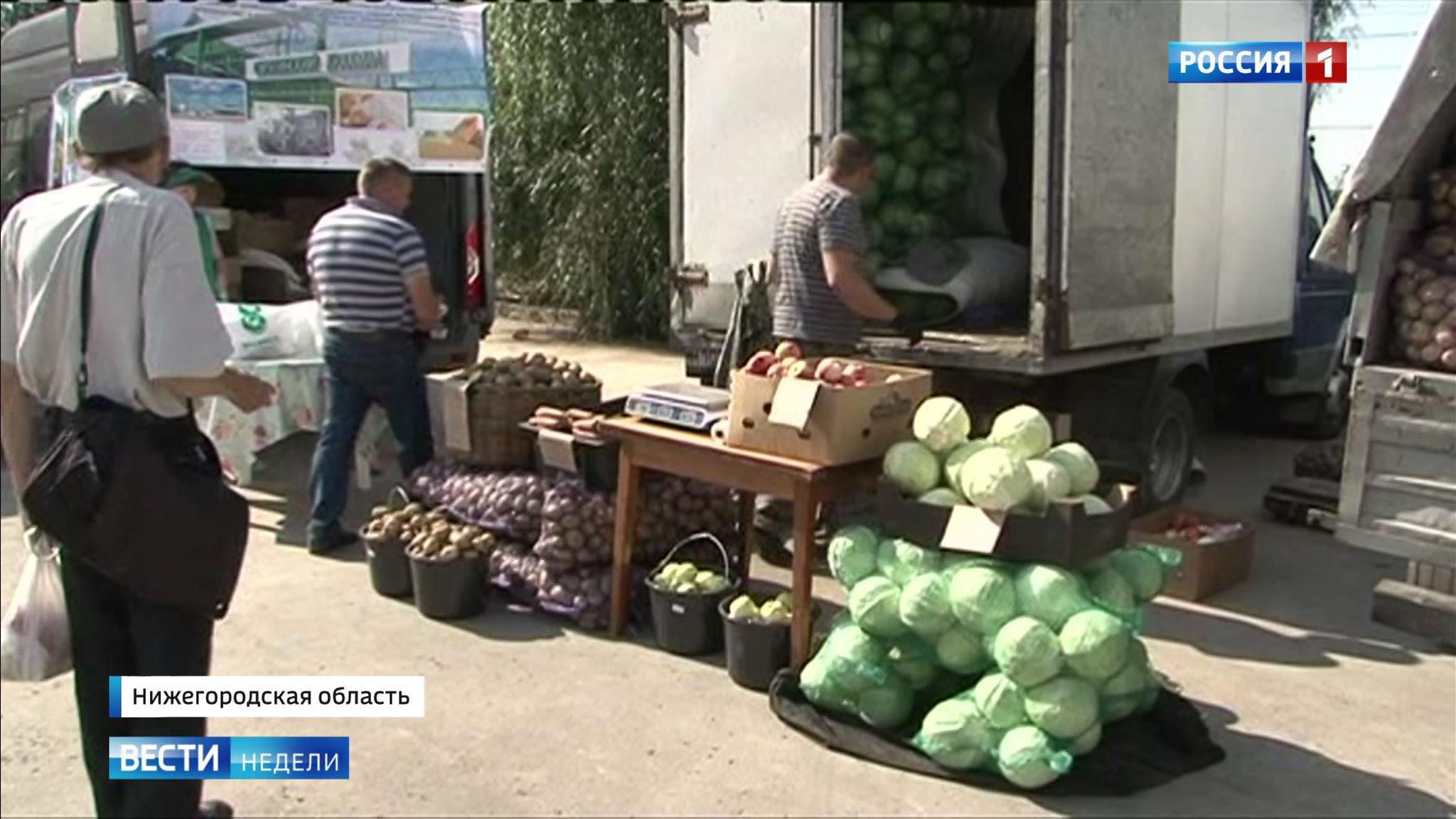 Развитие Нижегородской области: любовь к работе и поиску новых возможностей