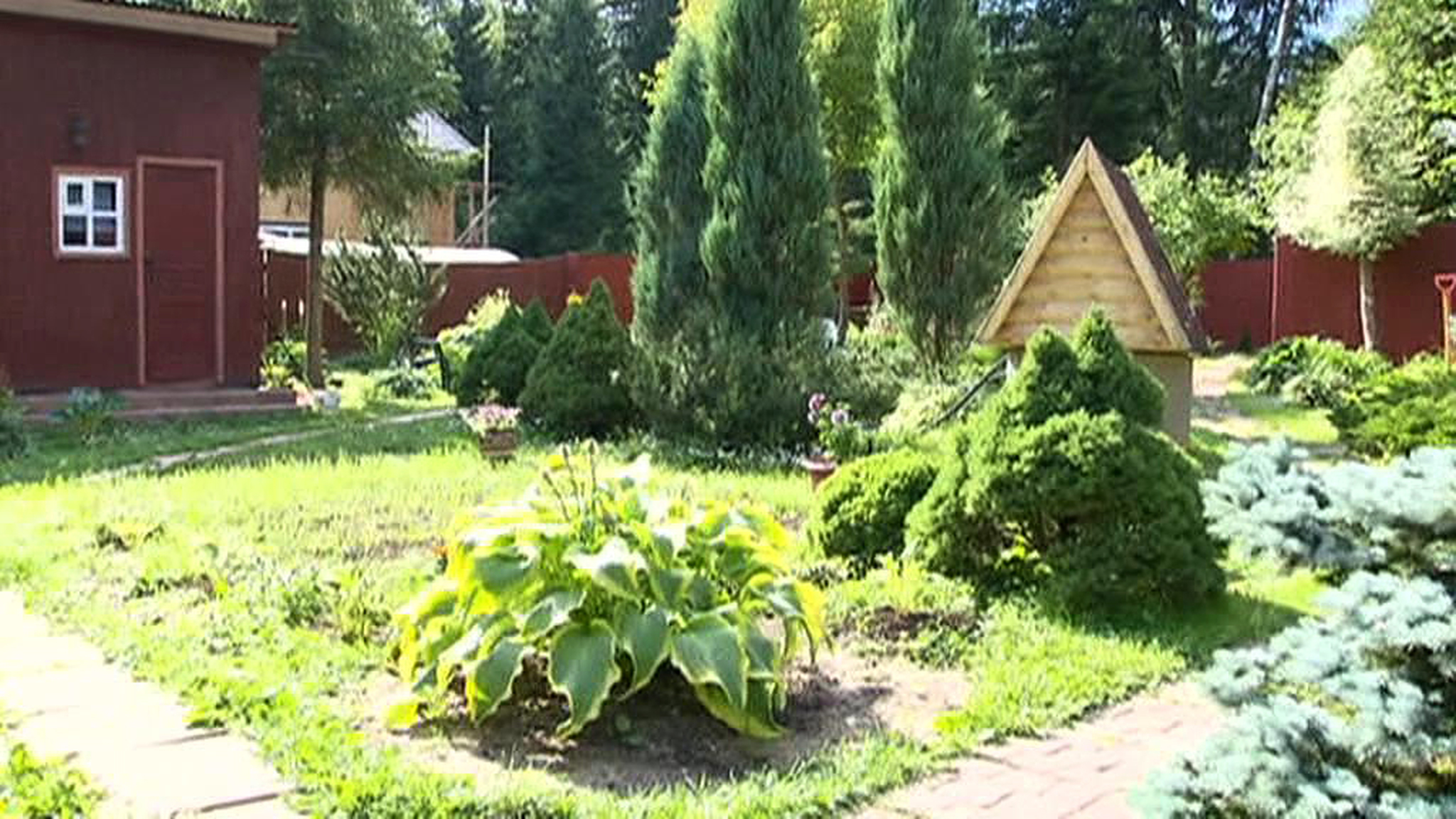 Дачникам выдали неожиданный подарок