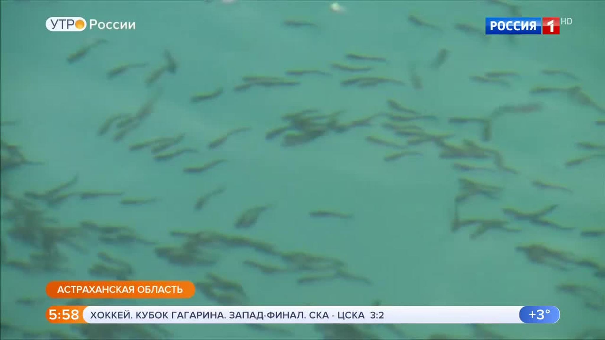 Эфир от 08.04.2019 (05:00)