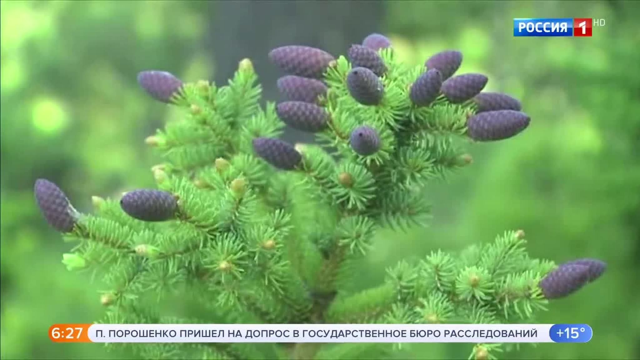 Эфир от 25.07.2019 (05:00)