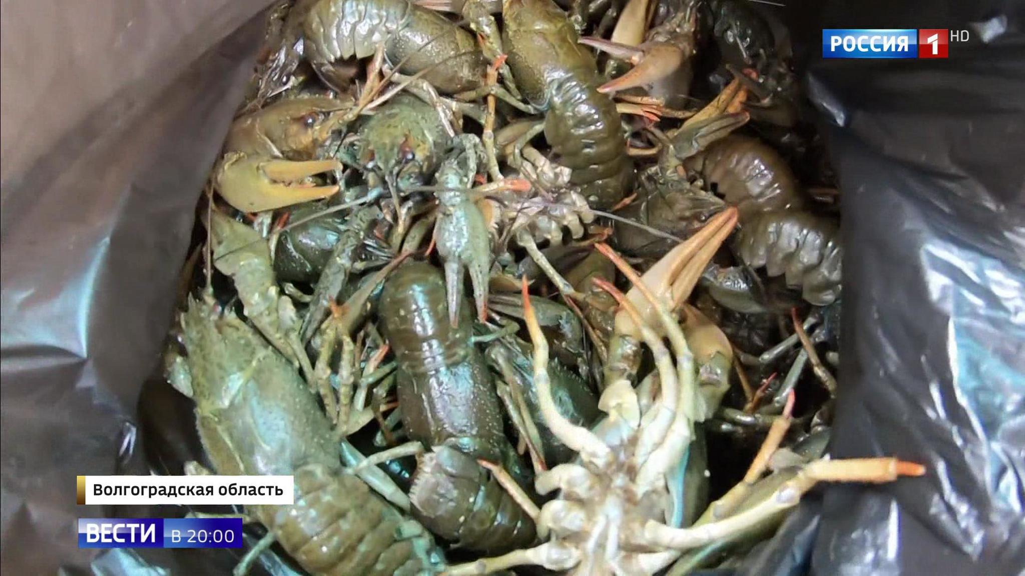 Эфир от 29.07.2019