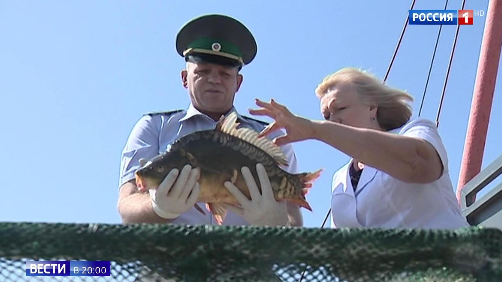 Эфир от 09.08.2019