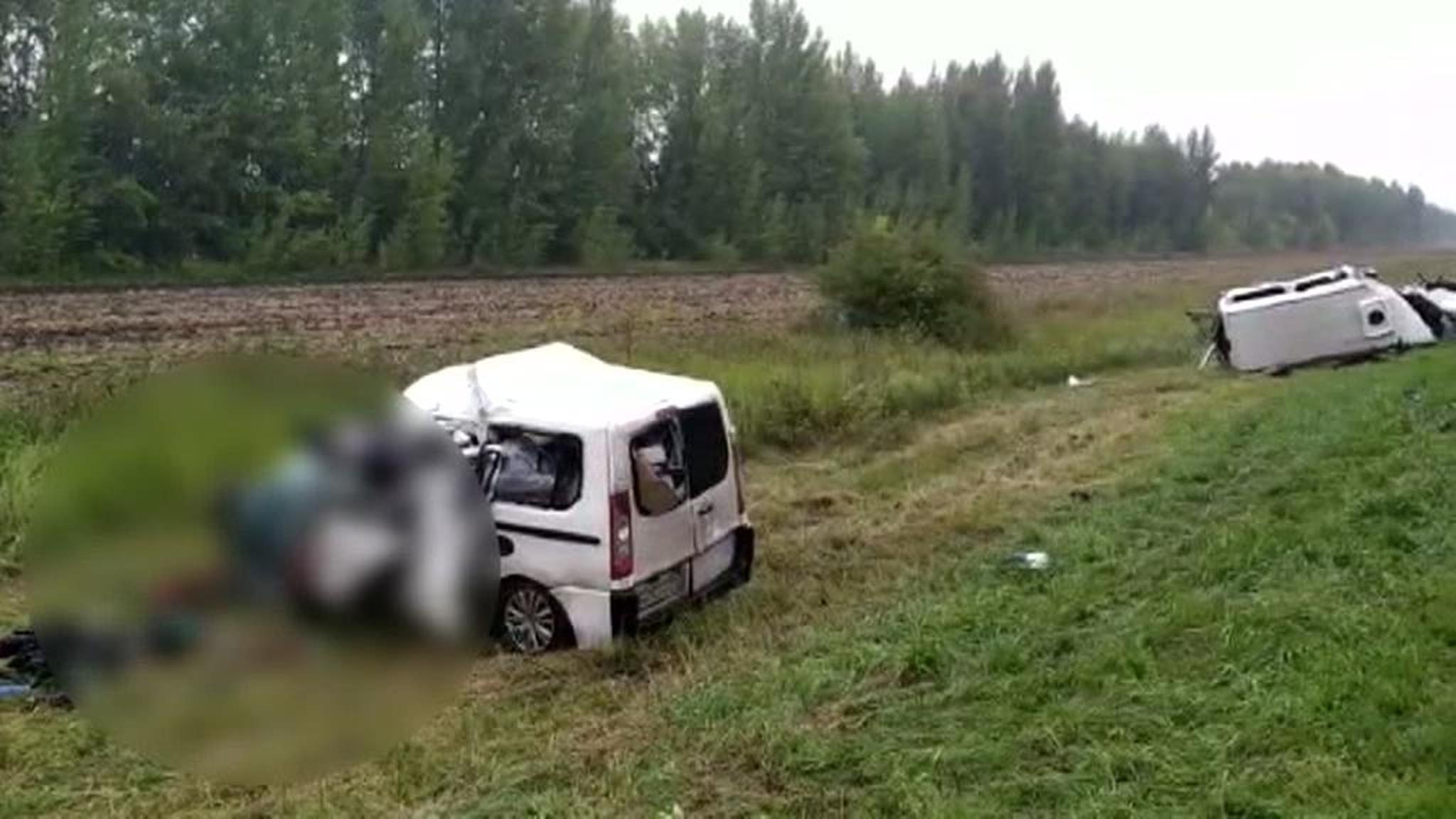 Погибли пять человек: в Тамбовской области столкнулись два микроавтобуса