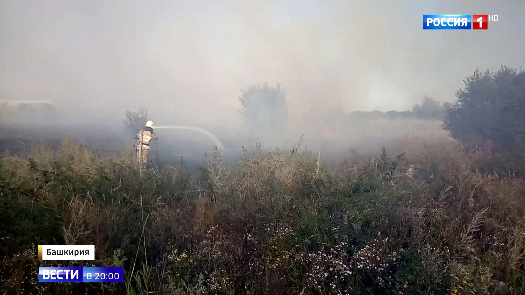 Эфир от 14.08.2019