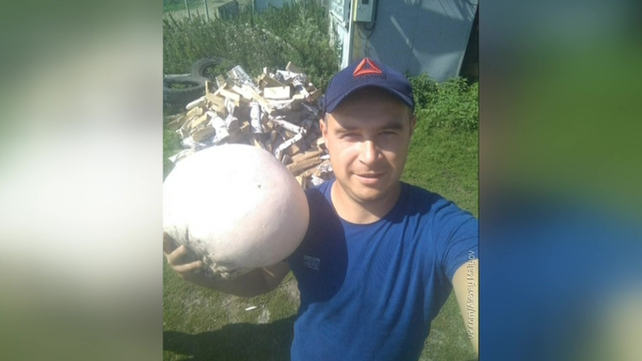 У челябинца украли уникальный гриб