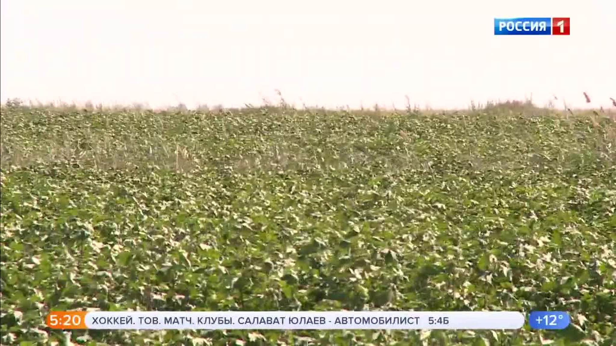 Эфир от 28.08.2019 (05:00)