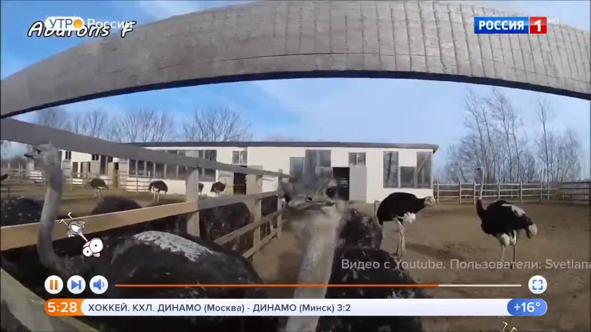 Эфир от 05.09.2019 (05:00)