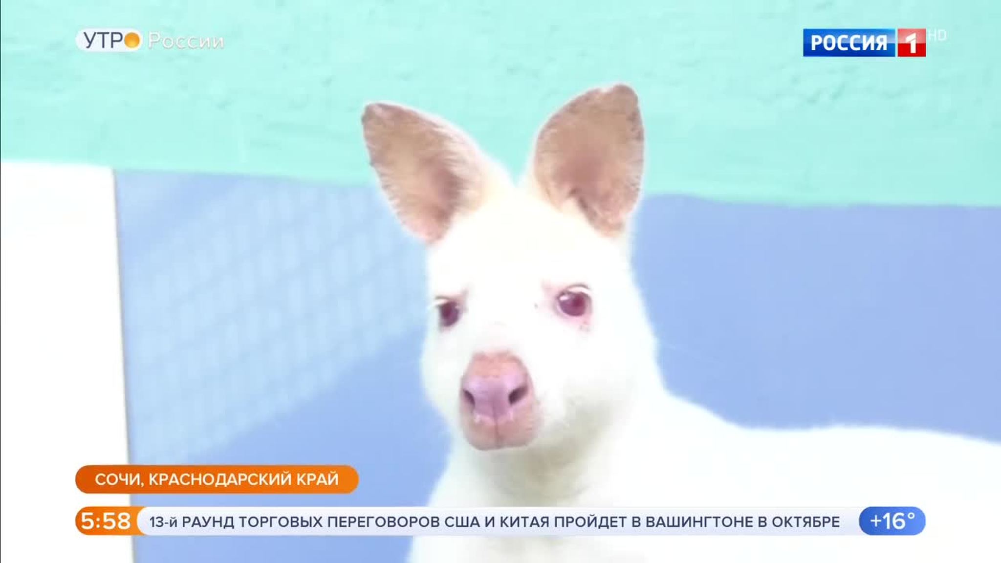 Эфир от 05.09.2019 (05:00)
