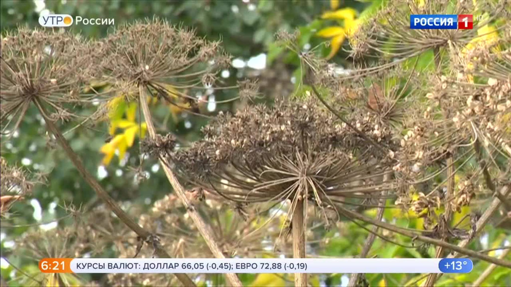 Эфир от 06.09.2019 (05:00)