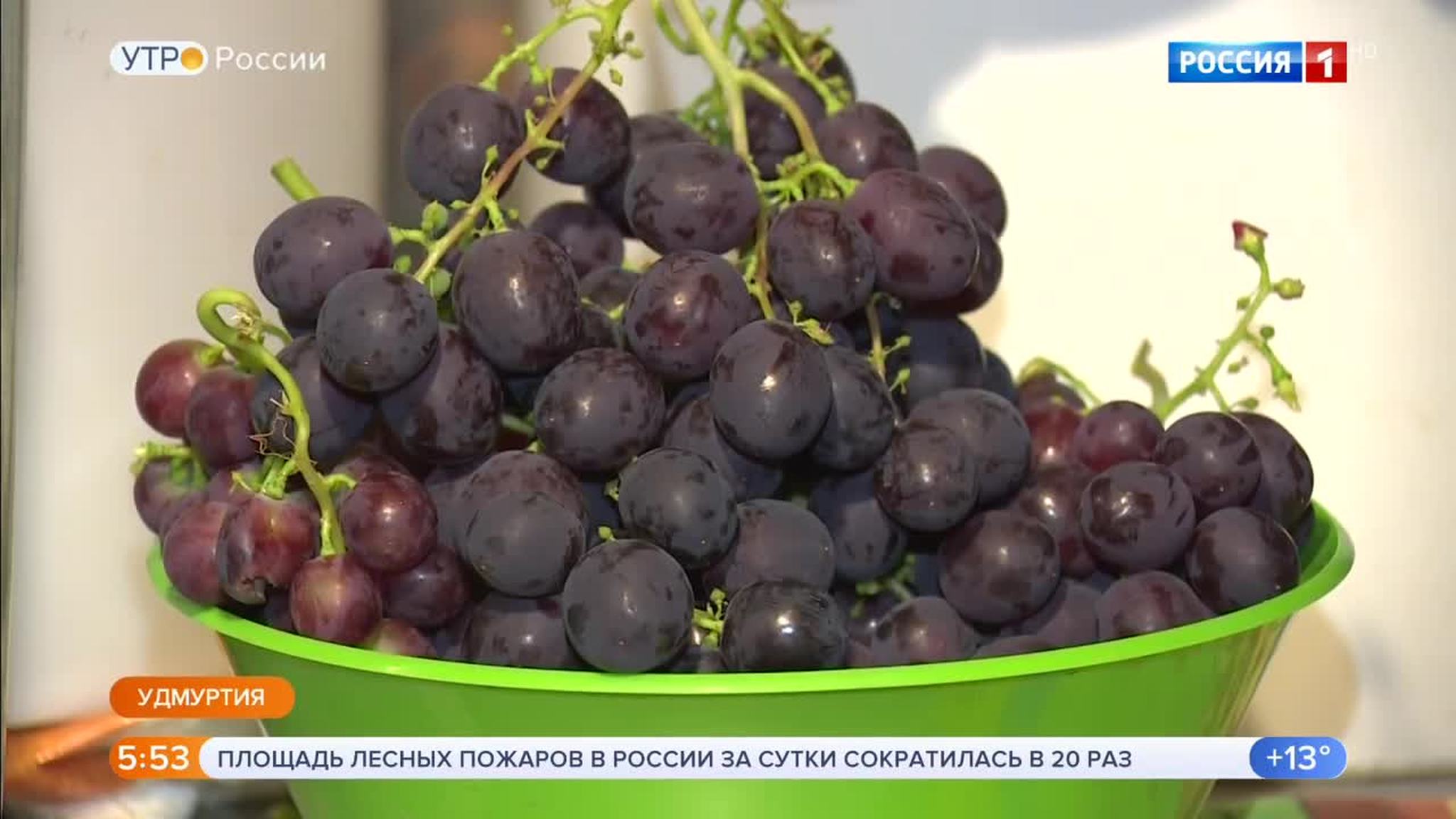 Эфир от 06.09.2019 (05:00)