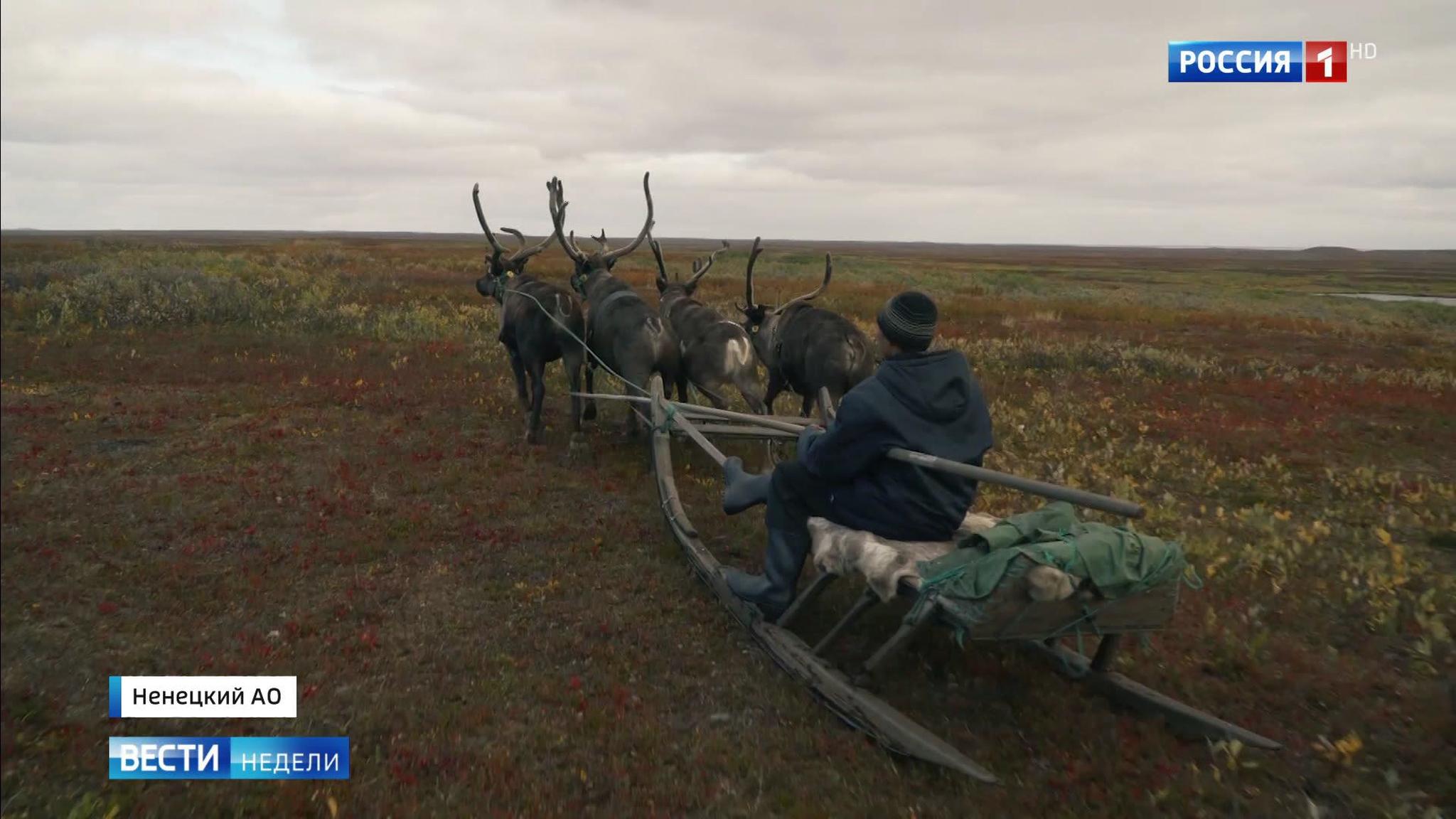 Чем Ненецкий округ готов удивить туристов