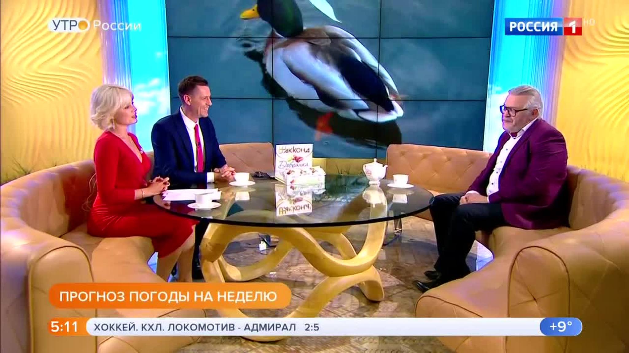 Эфир от 05.11.2019 (05:00)