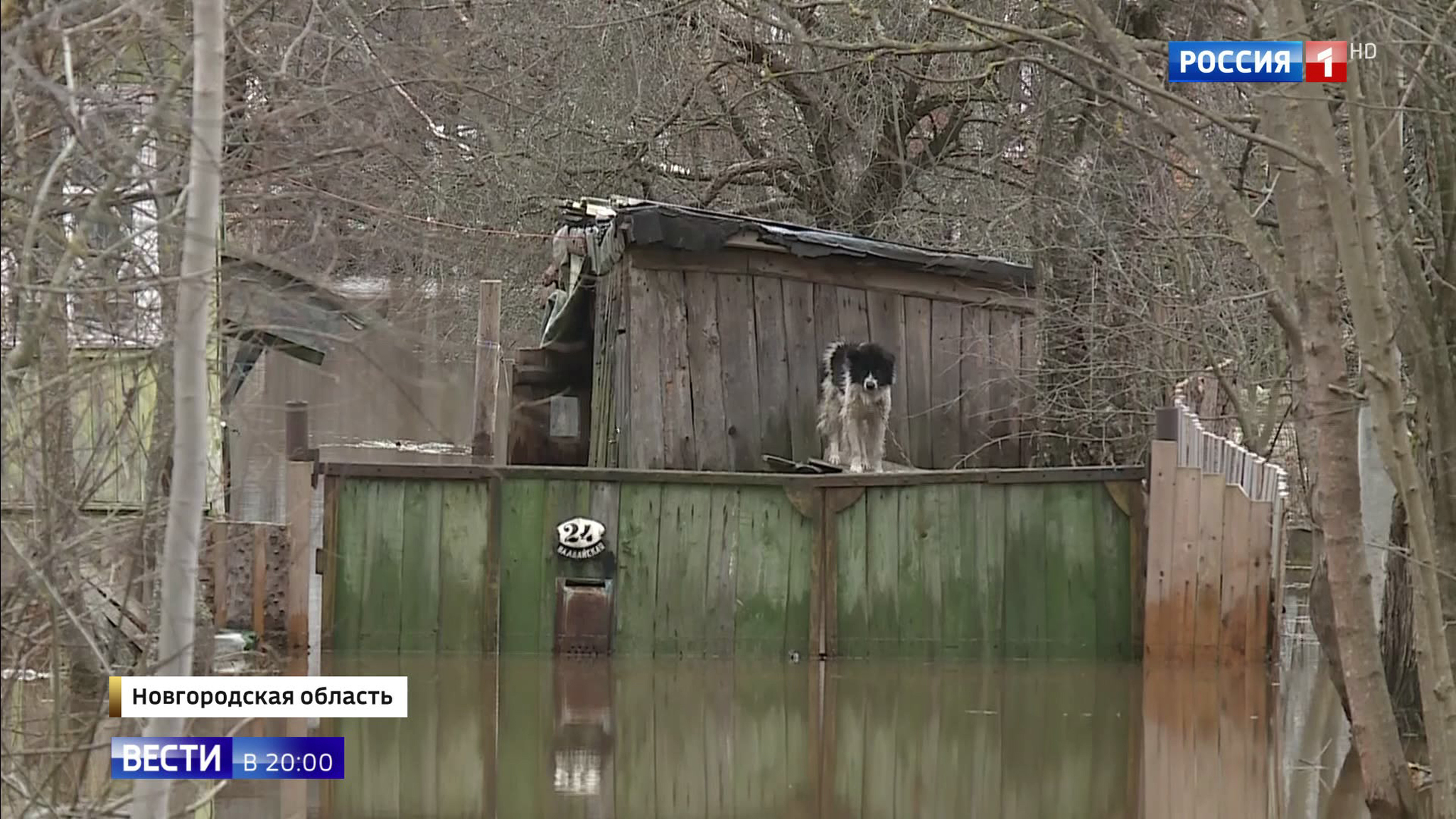 Эфир от 07.11.2019