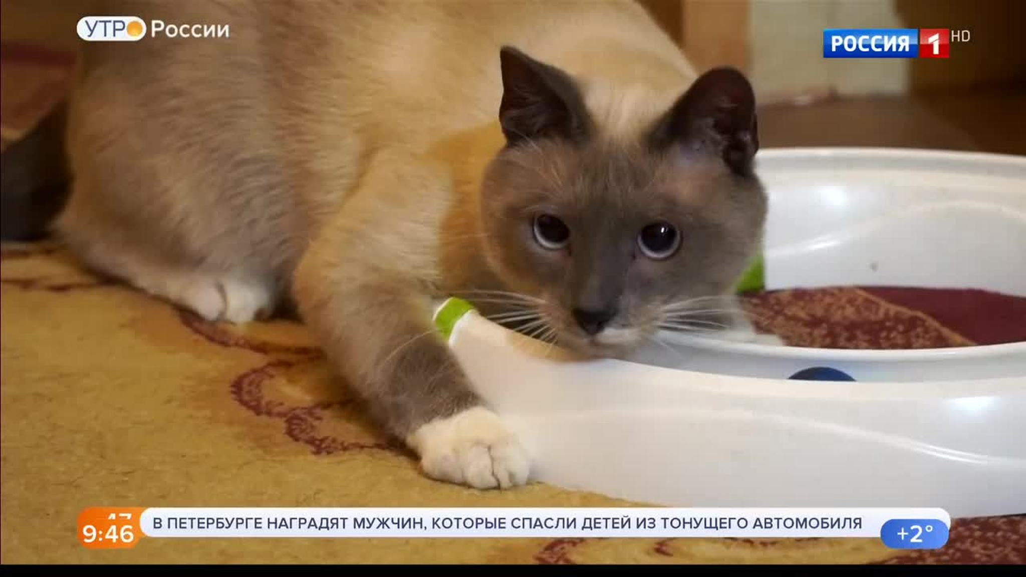 Эфир от 18.11.2019 (09:25)