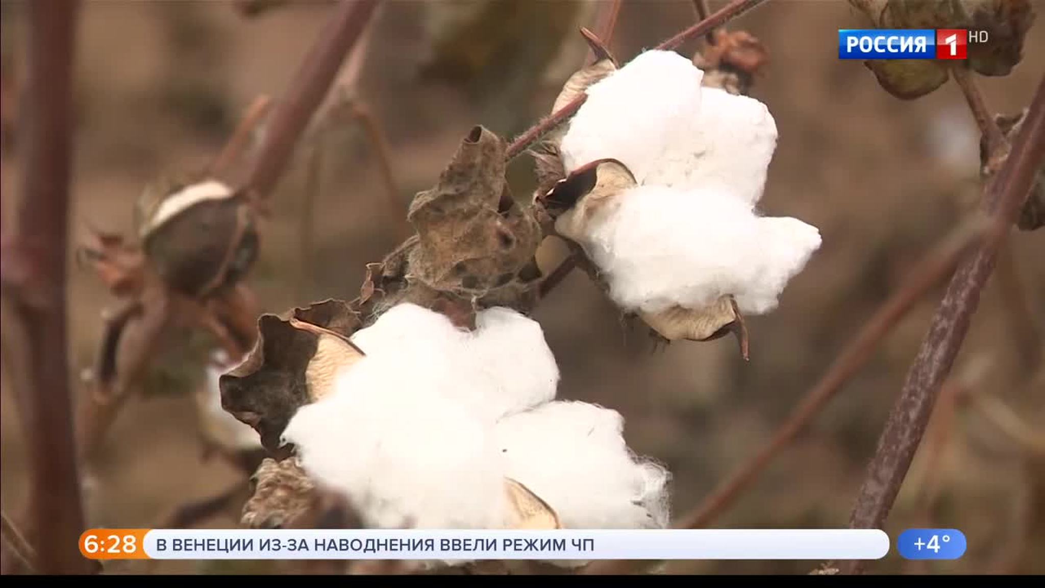 Эфир от 18.11.2019 (05:00)