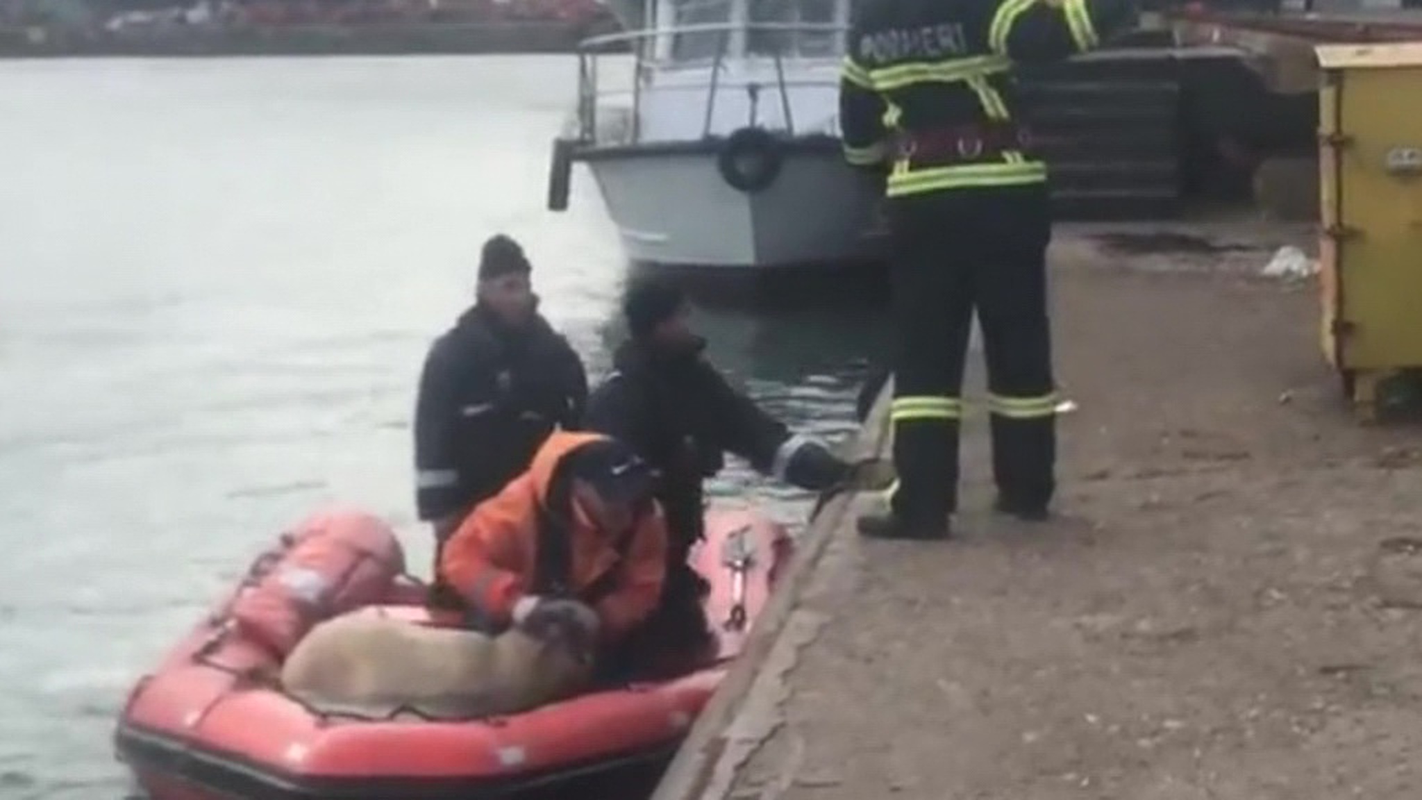 При кораблекрушении в Черном море погибли 14 тысяч овец