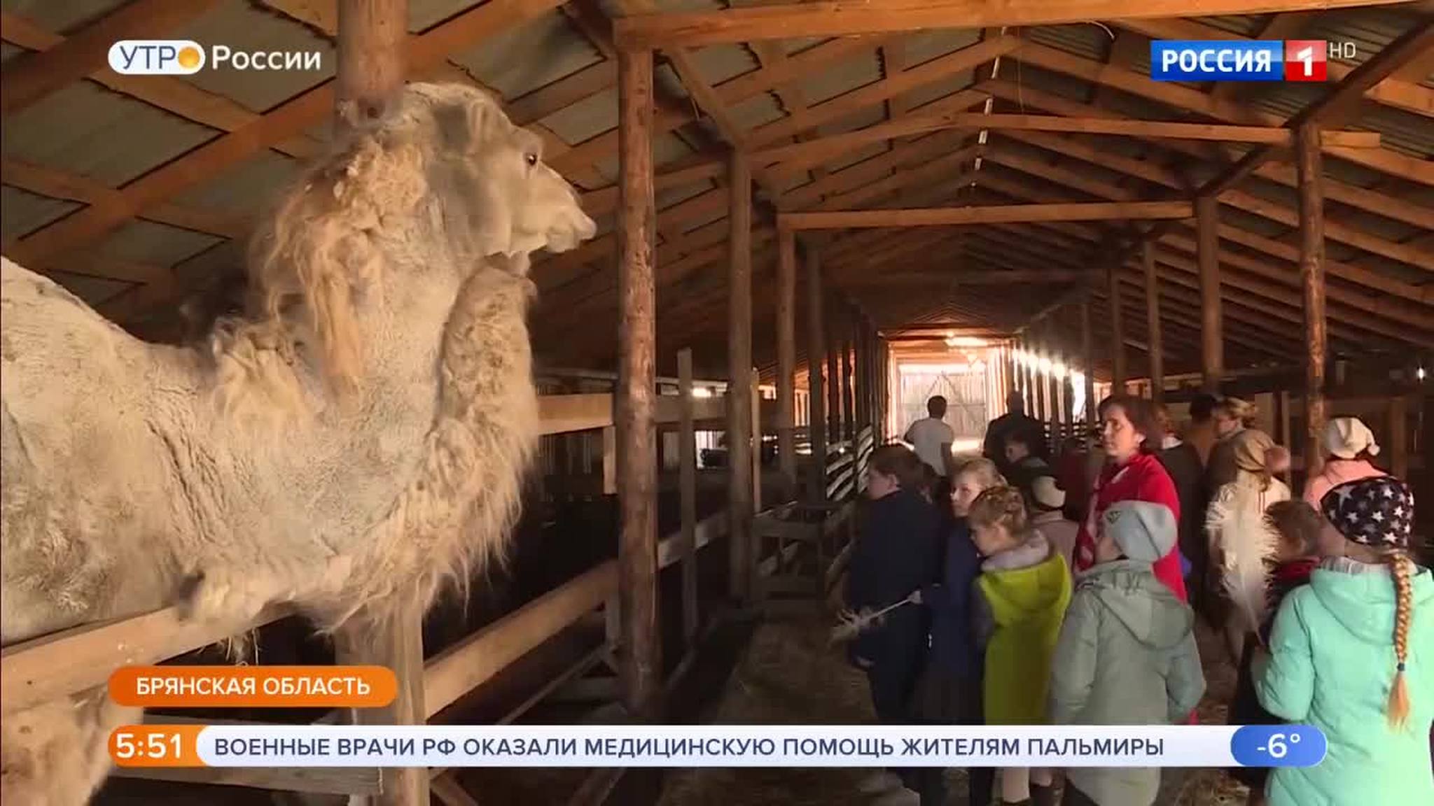 Эфир от 26.11.2019 (05:00)