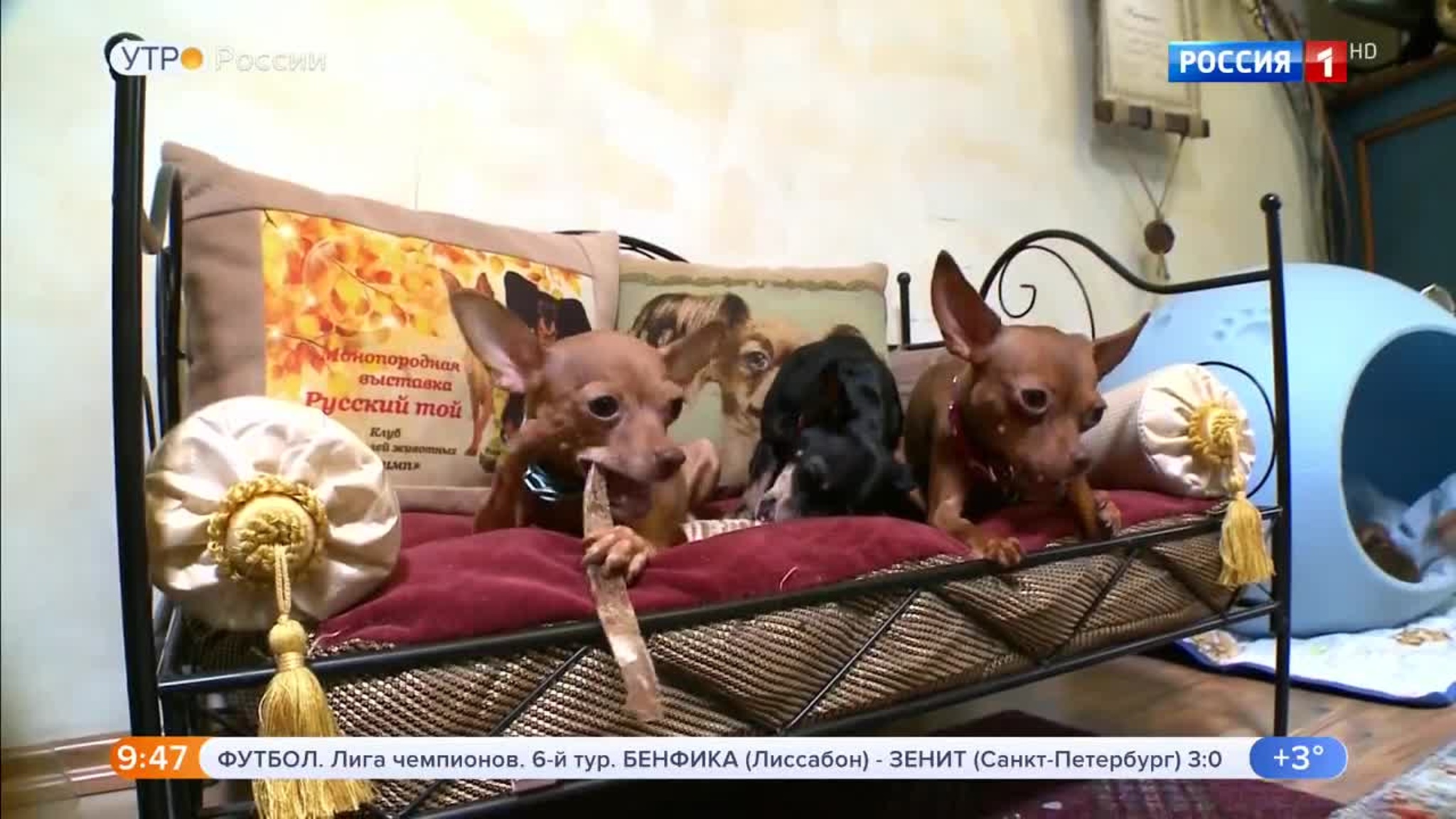 Эфир от 11.12.2019 (09:25)
