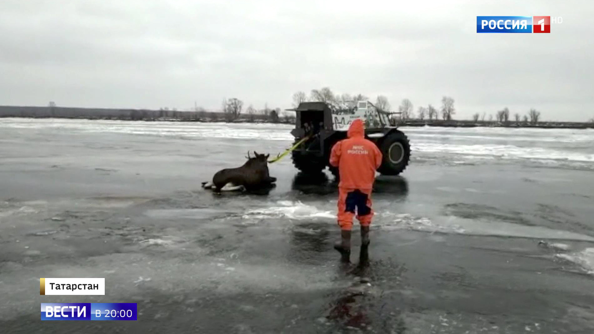 Эфир от 11.12.2019