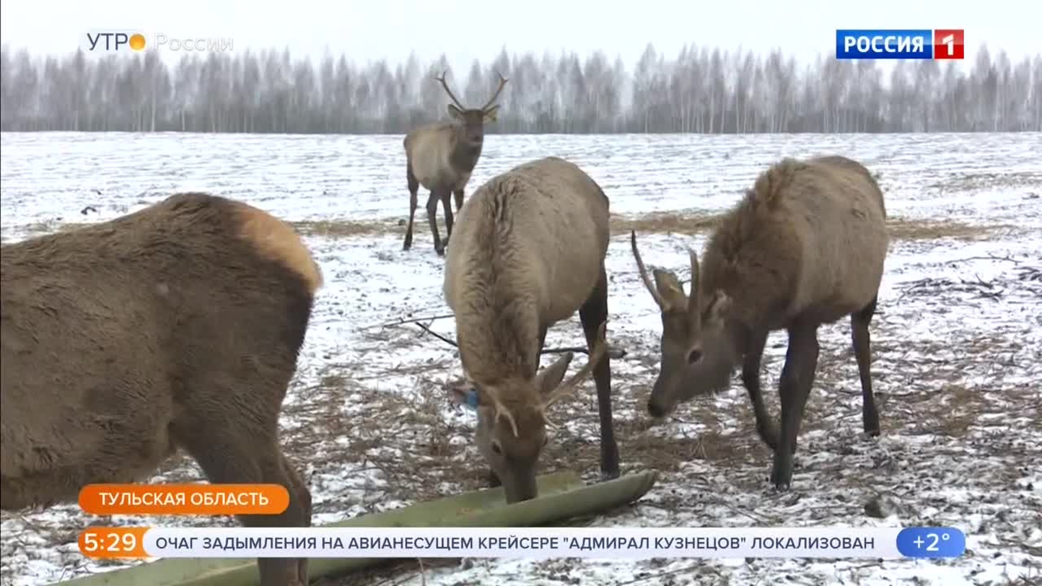 Эфир от 13.12.2019 (05:00)