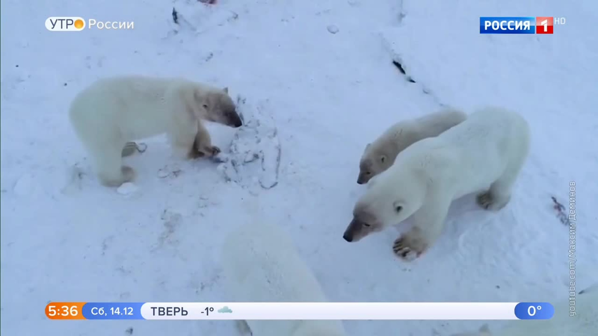Эфир от 14.12.2019