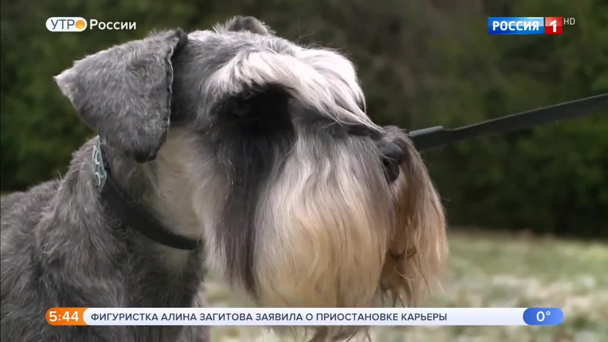 Эфир от 14.12.2019