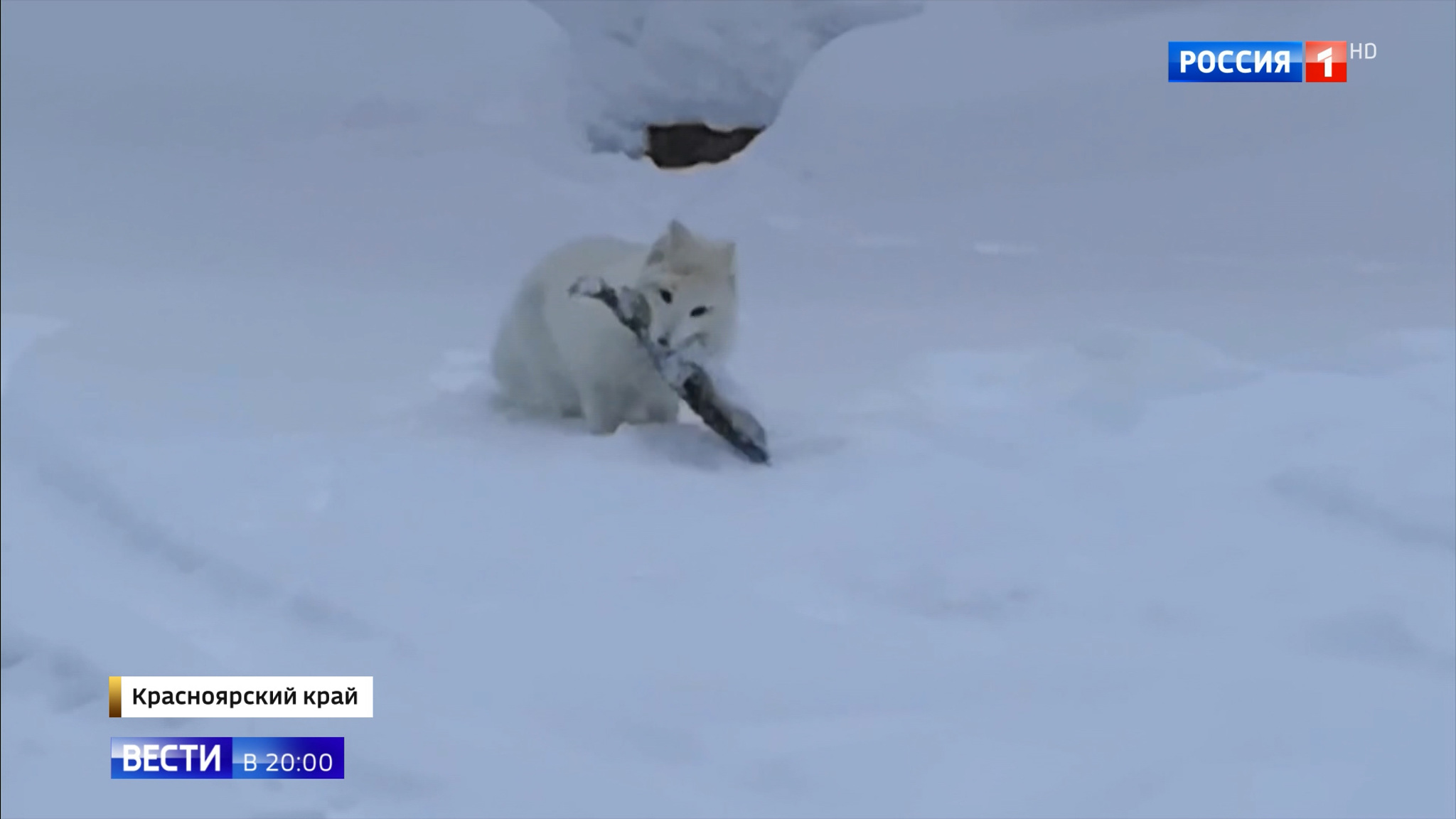 Эфир от 17.12.2019
