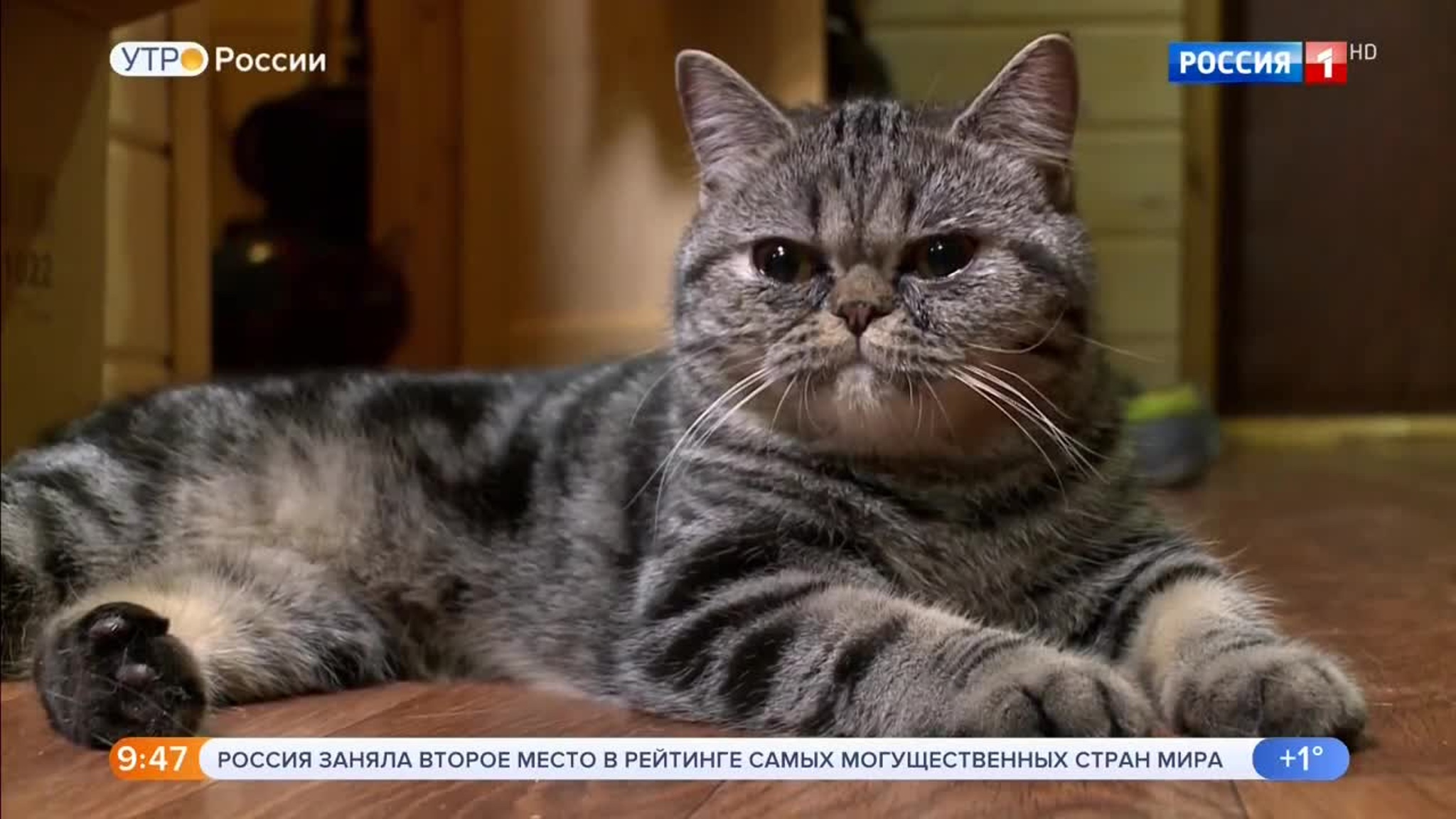 Эфир от 17.12.2019 (09:25)