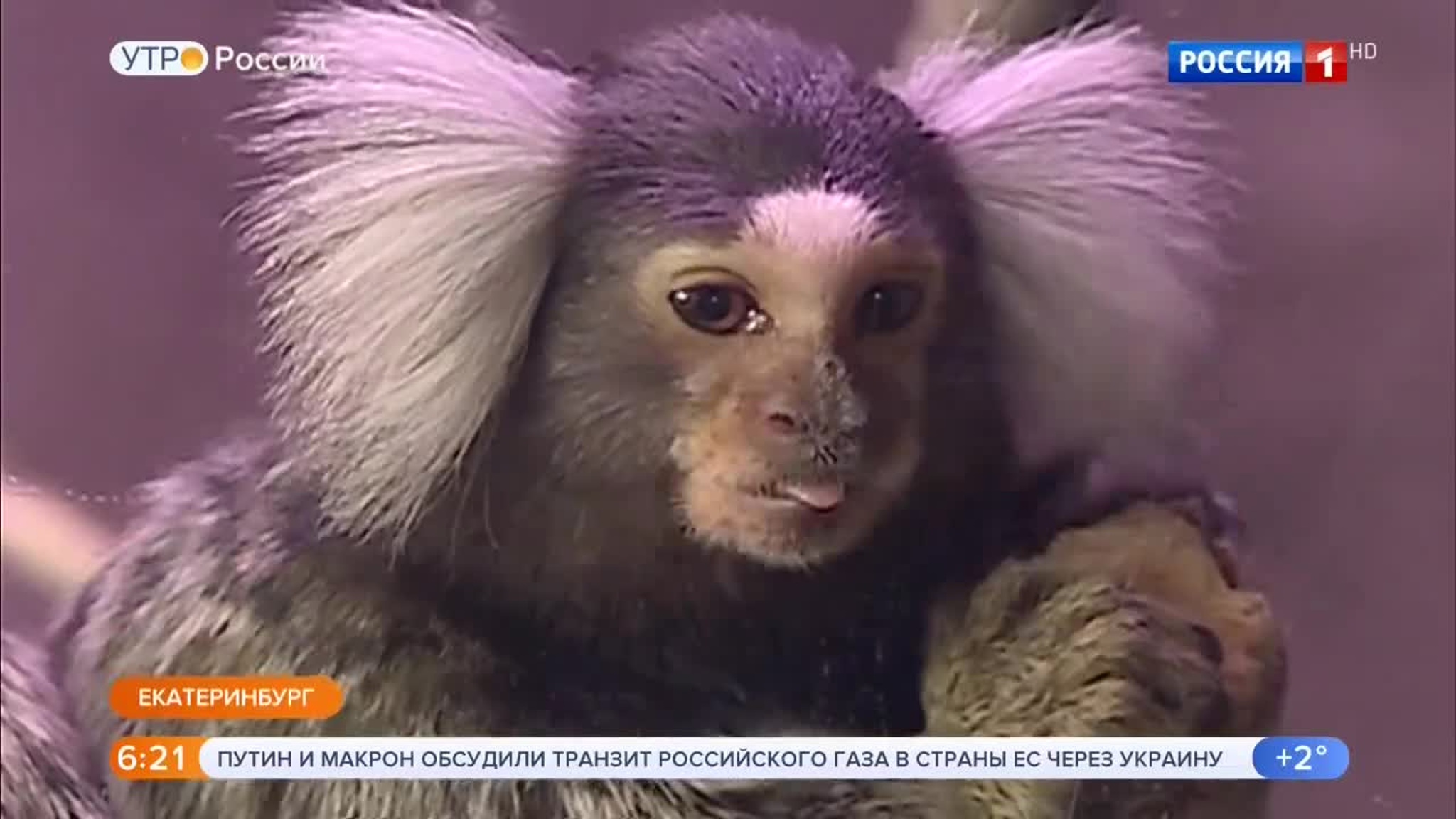 Эфир от 18.12.2019 (05:00)