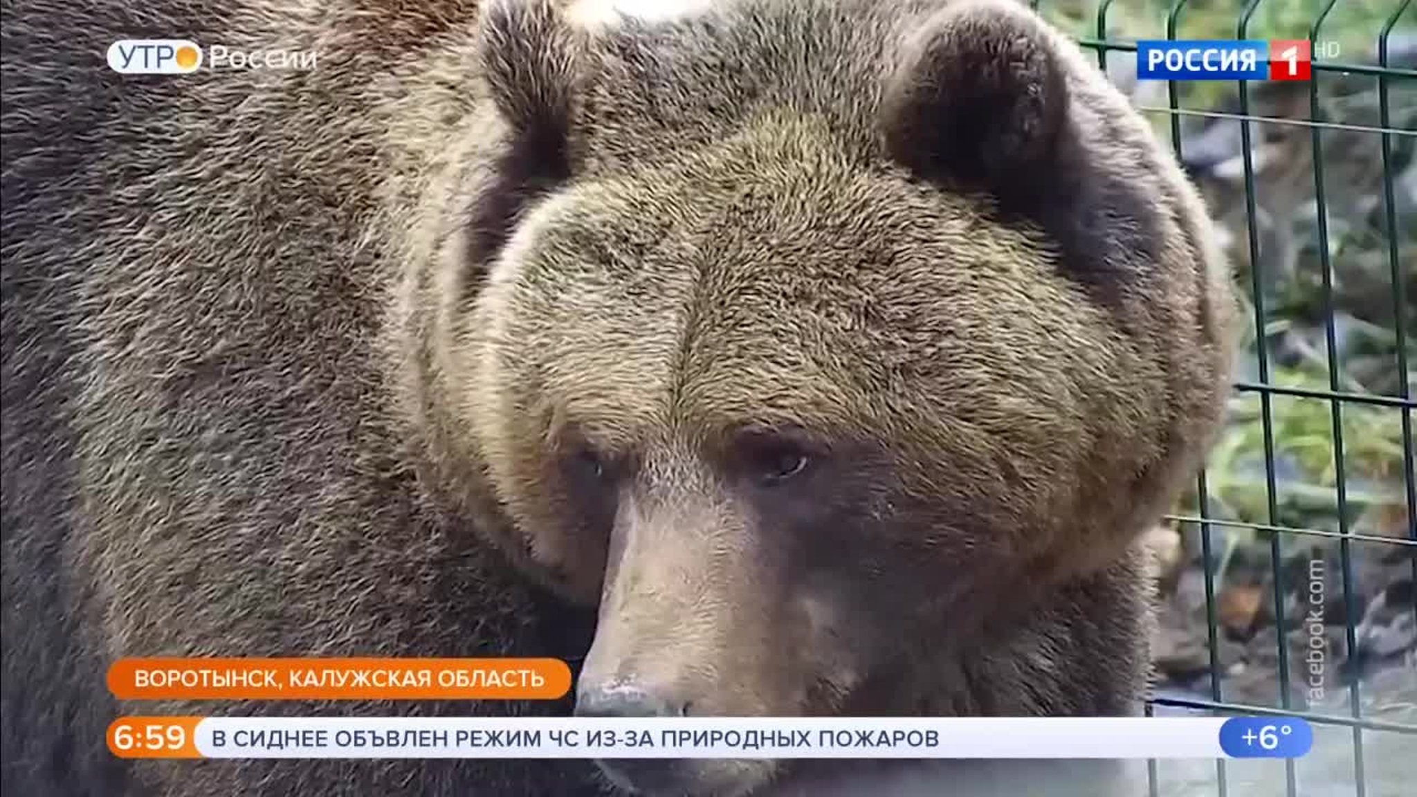 Эфир от 19.12.2019 (05:00)