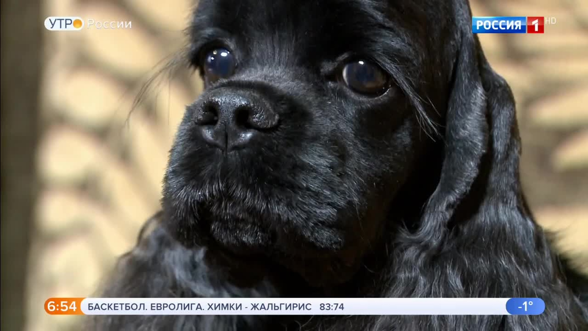 Эфир от 21.12.2019