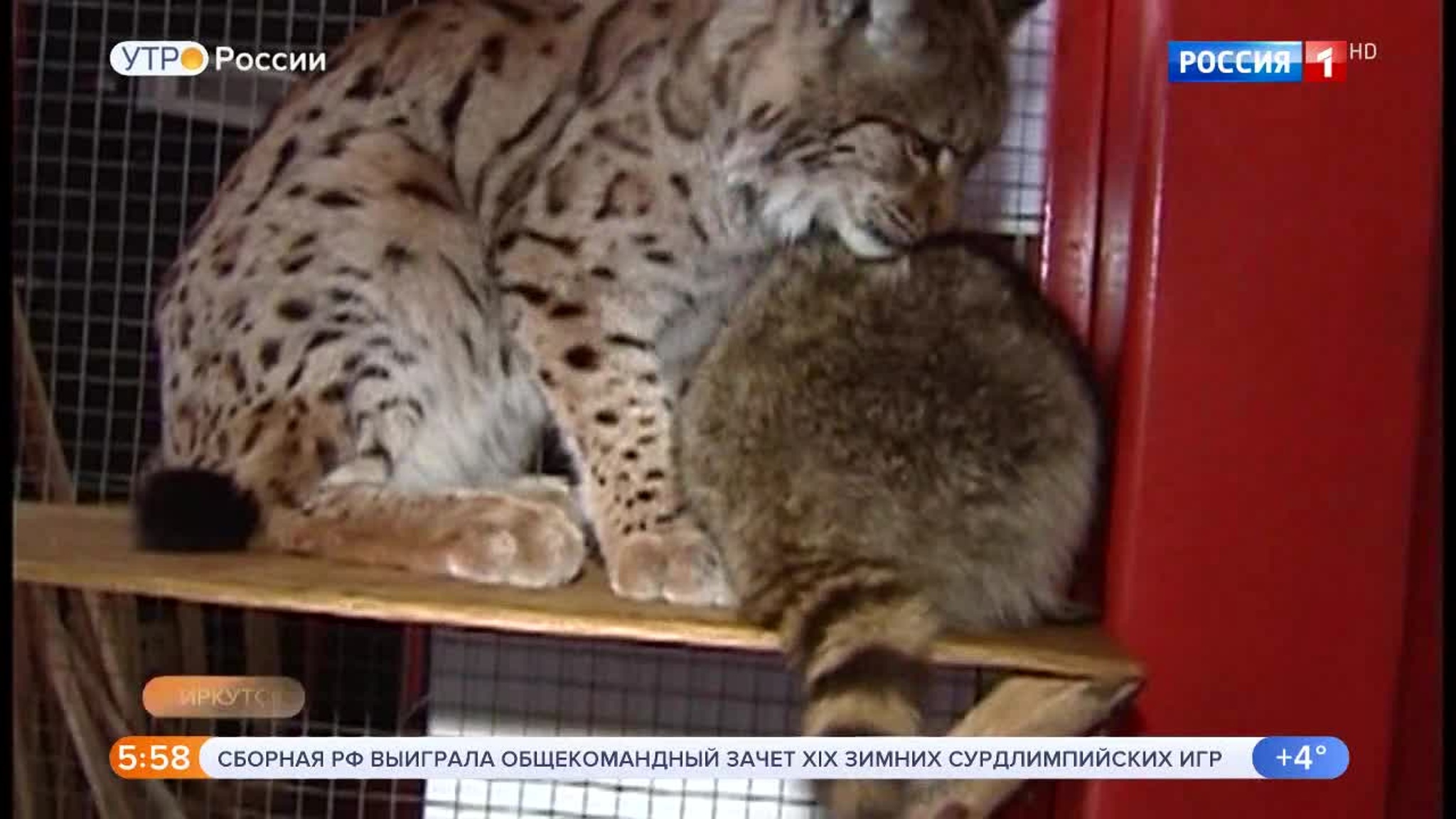 Эфир от 23.12.2019 (05:00)