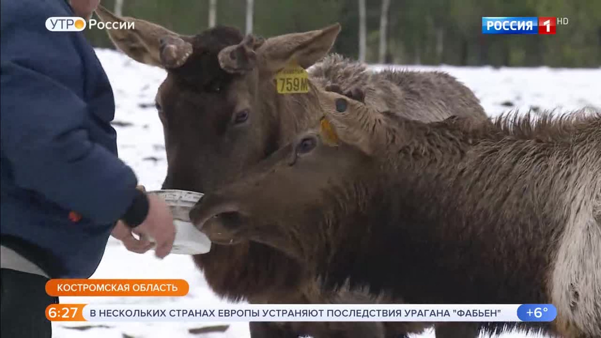 Эфир от 24.12.2019 (05:00)
