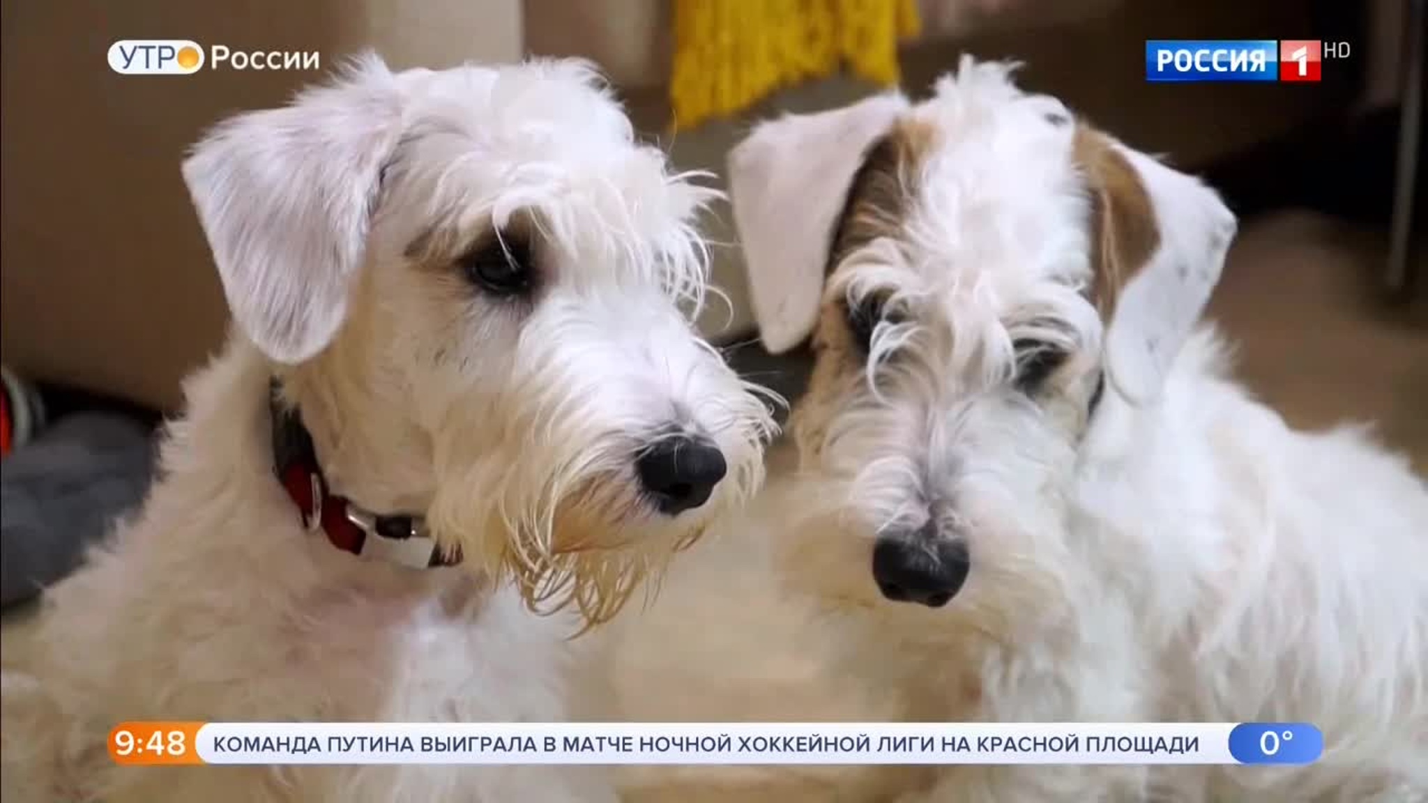 Эфир от 26.12.2019 (09:25)