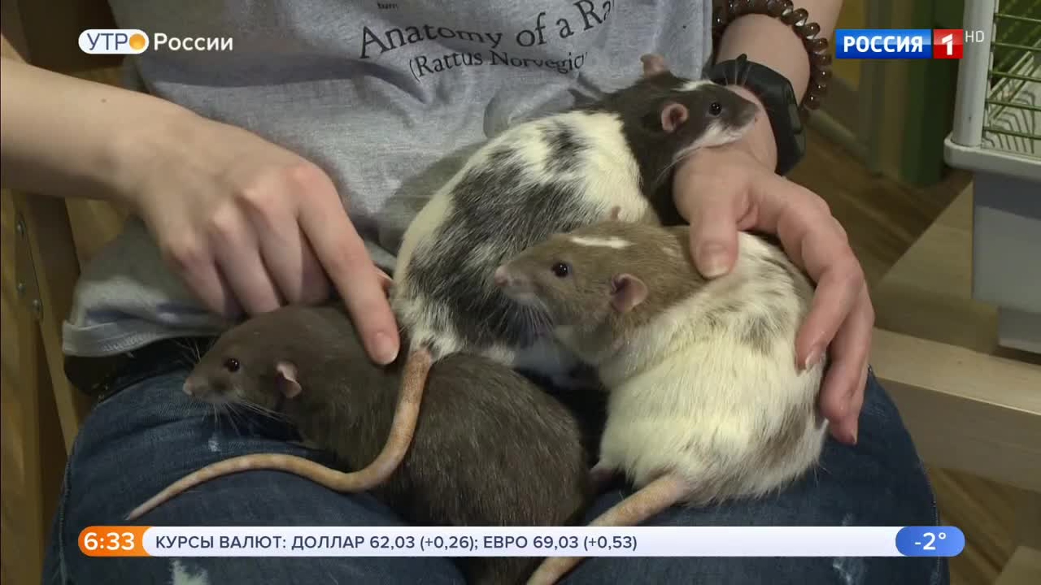 Эфир от 28.12.2019
