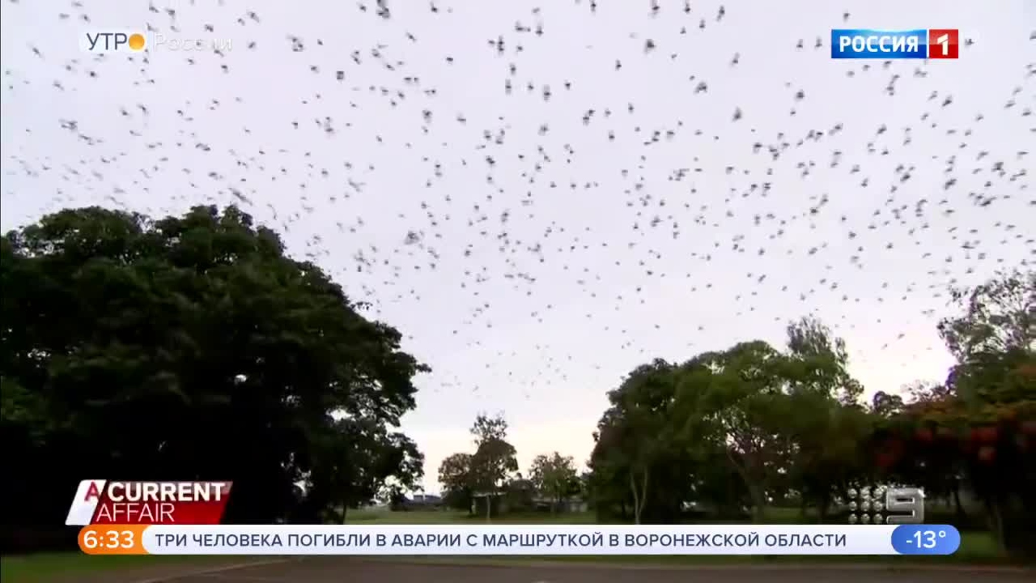 Эфир от 08.02.2020
