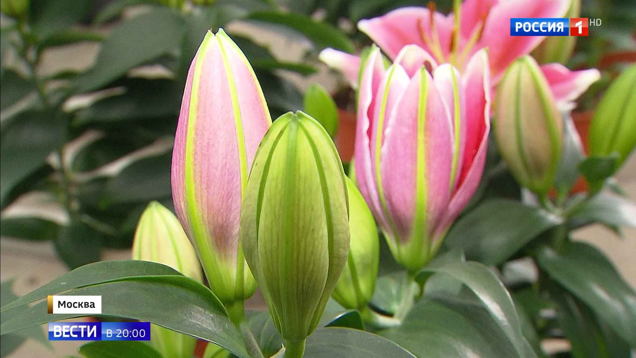 Эфир от 06.03.2020