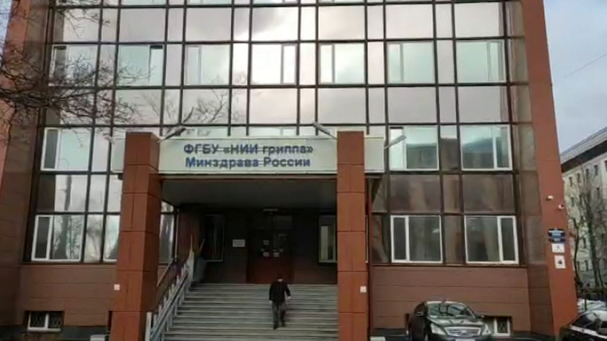 В НИИ гриппа им. Смородинцева расшифрован полный геном коронавируса из России