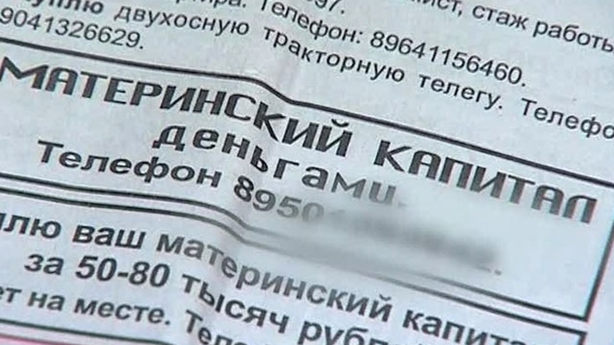 Ростовские мошенники перехитрили закон