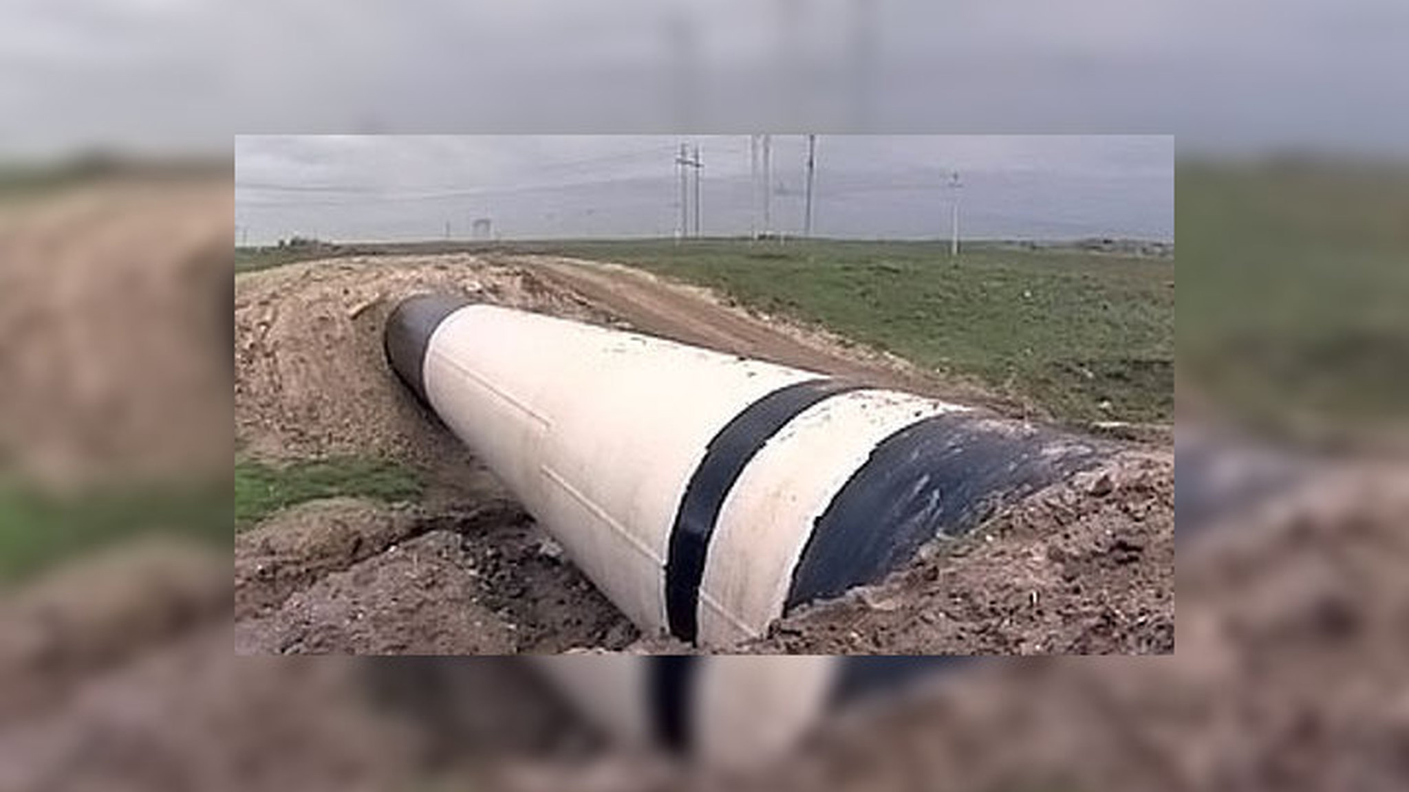 Азиатские братья России нашли себе нового брата. "Знаки" с Андреем Кондрашовым