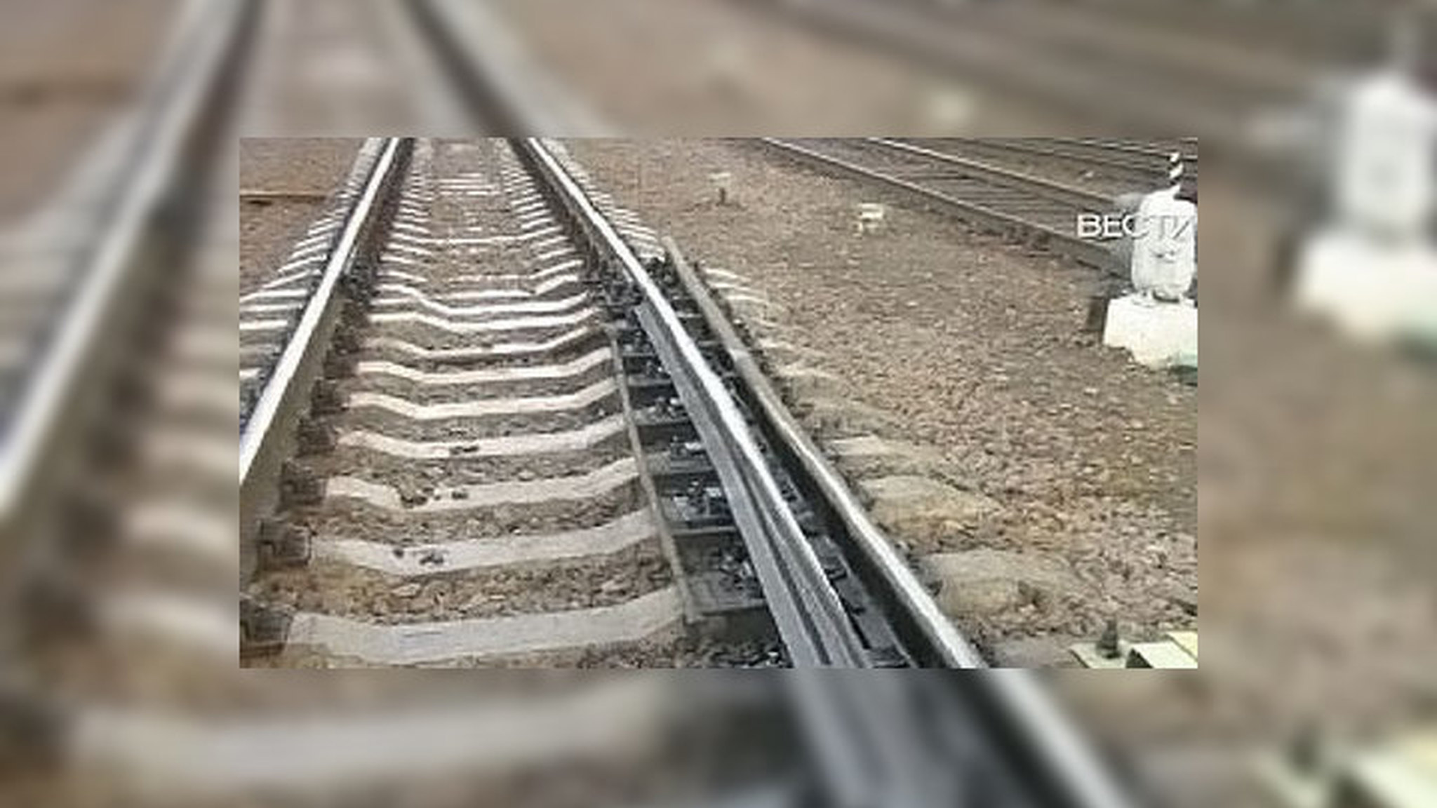 В страшном ДТП на Украине виноват водитель автобуса