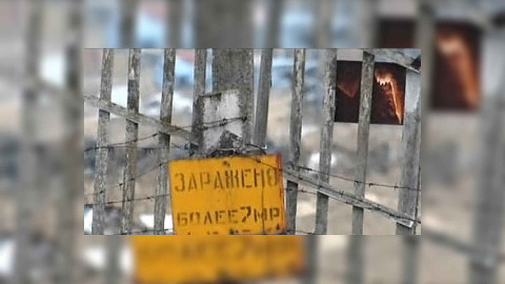 Над Украиной всё ещё висит радиоактивный дамоклов меч