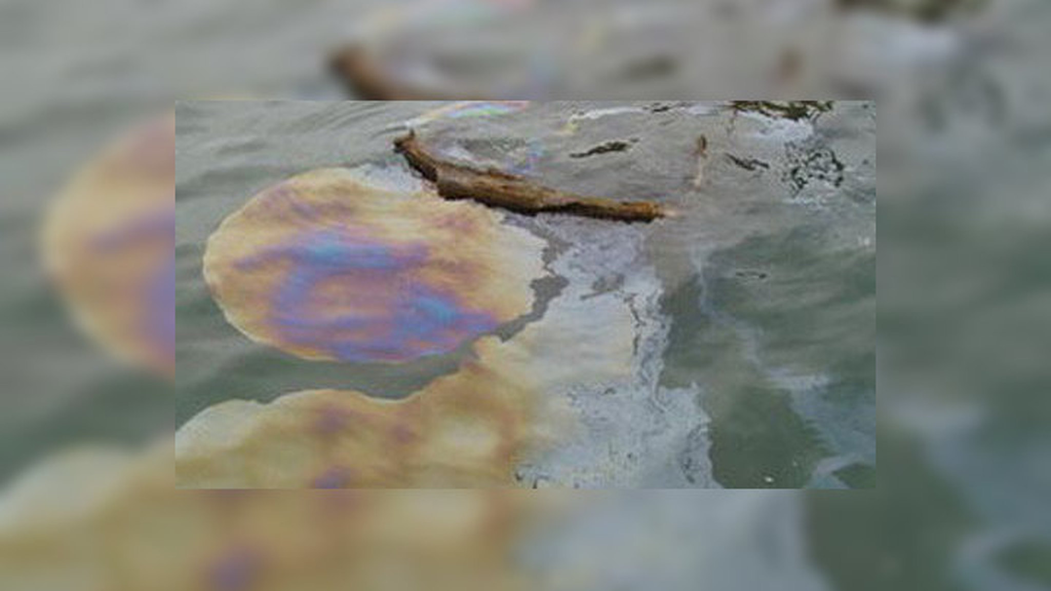 Экологи нашли источник загрязнения Москвы-реки