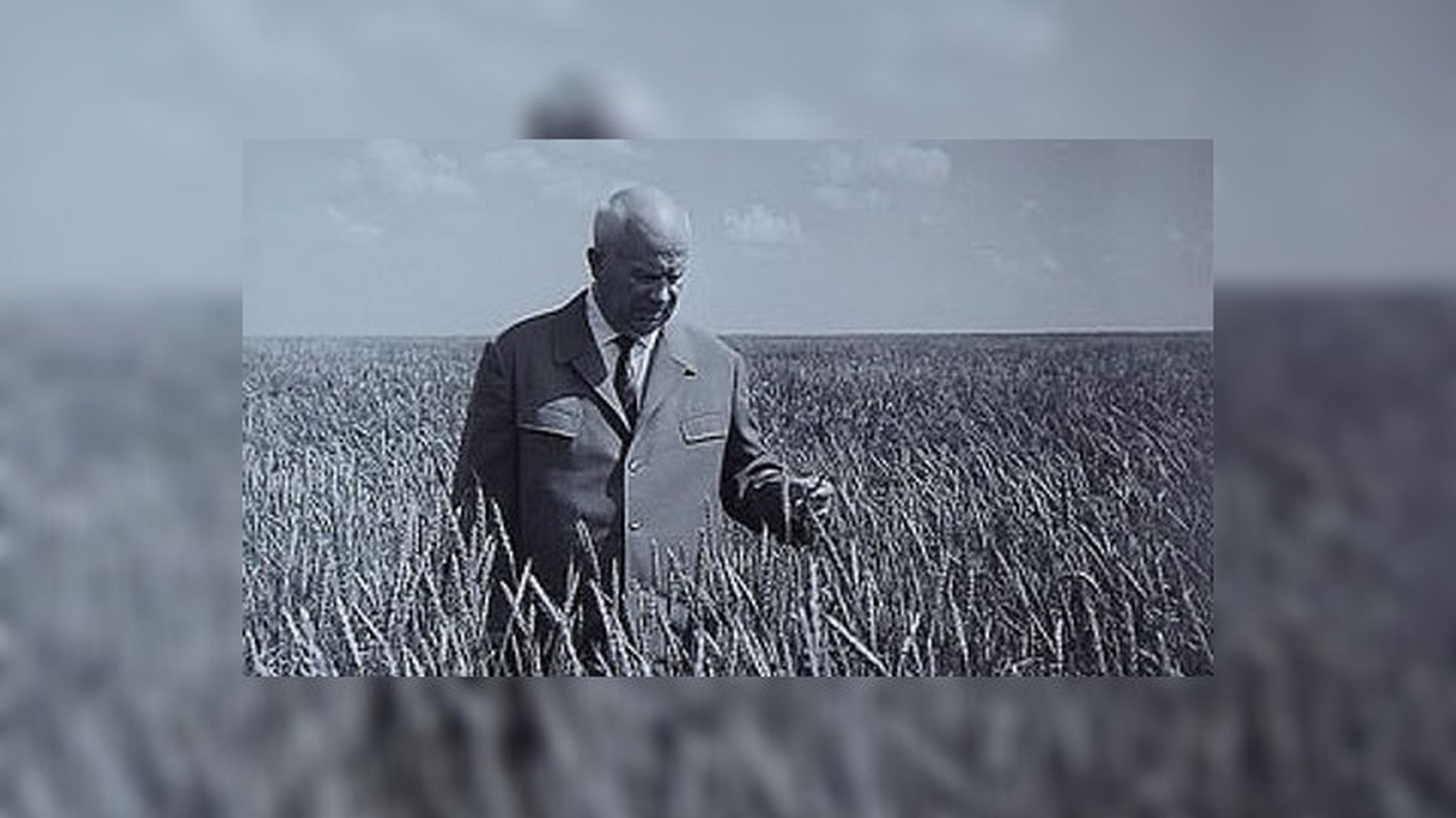 Хрущев хотел побудить японцев к самостоятельности. История с Андреем Светенко